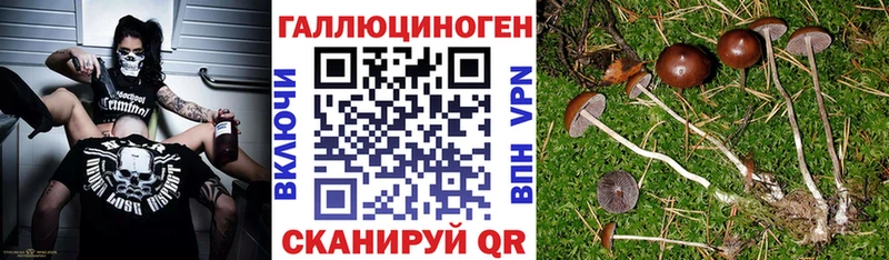 MEGA как войти  Белоозёрский  Псилоцибиновые грибы Psilocybe 
